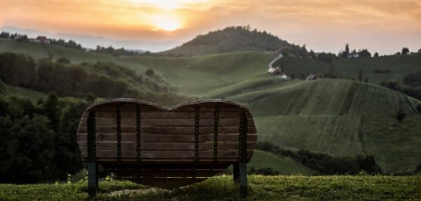 Die Steiermark im Weinglas