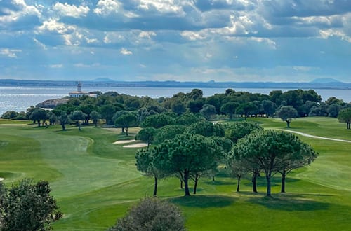 Golfclubs in der Nähe