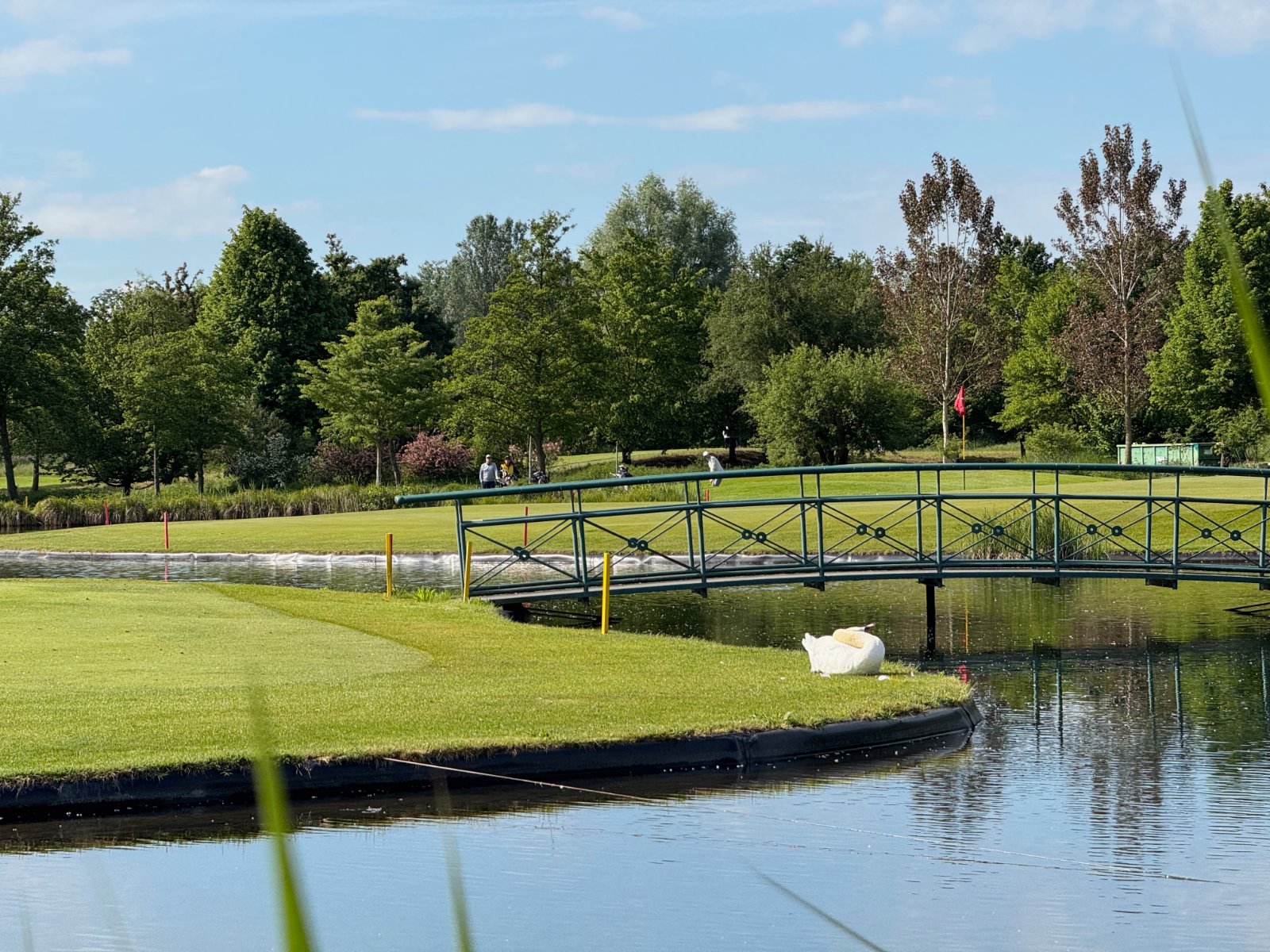 Ein Schwan ruht am Ufer, die grüne Brücke führt übers Wasser. Genau dieses Wasser prägt den Platz Rot.