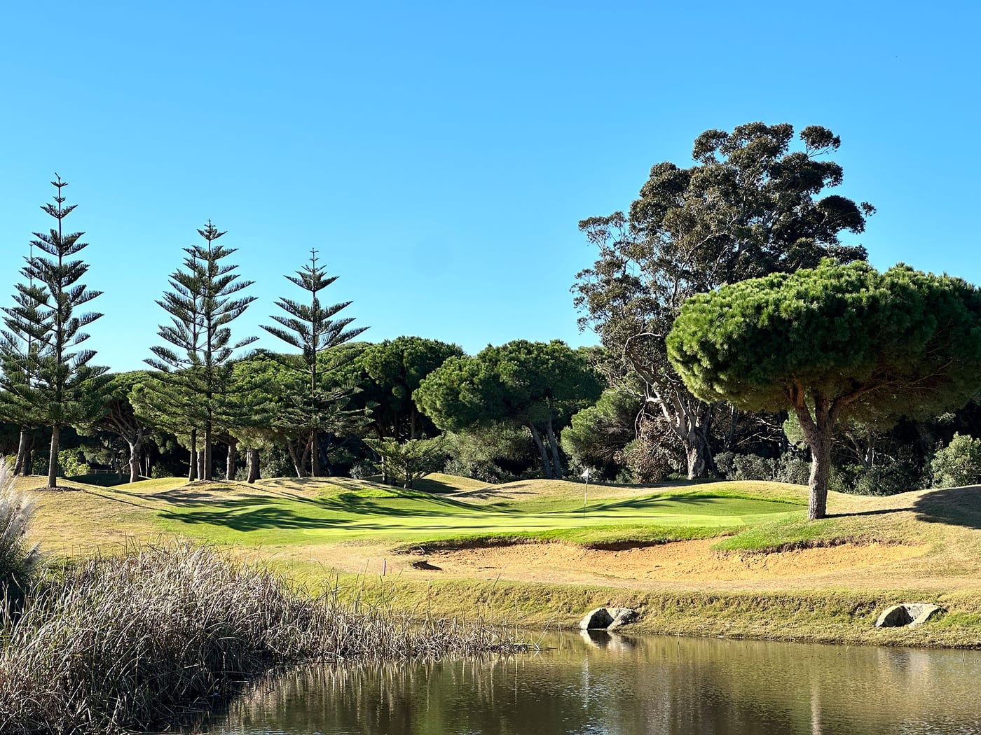 Bucketlist-Golfcourses in der Region