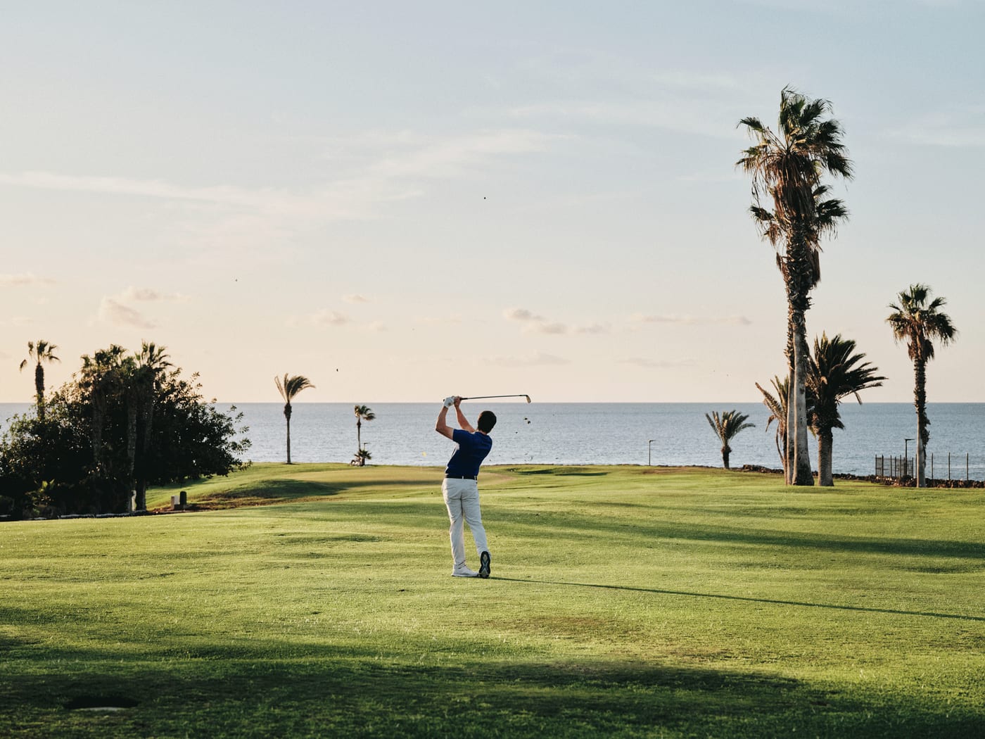 PLATZ 5 – SAN MIGUEL DE ABONA