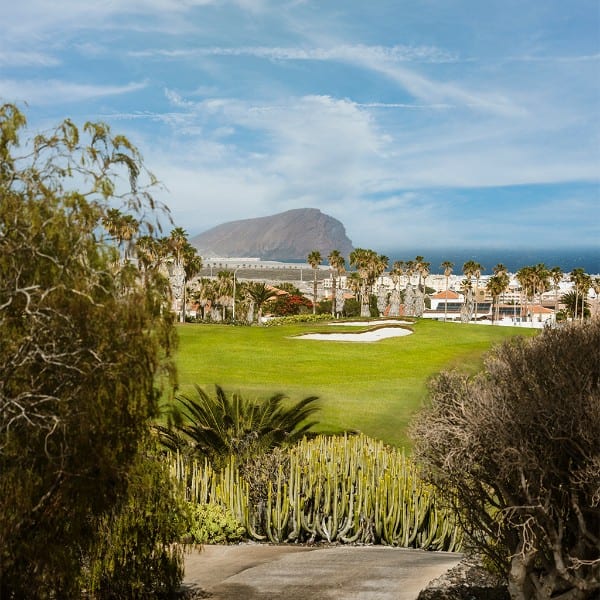 PLATZ 3 – SAN MIGUEL DE ABONA