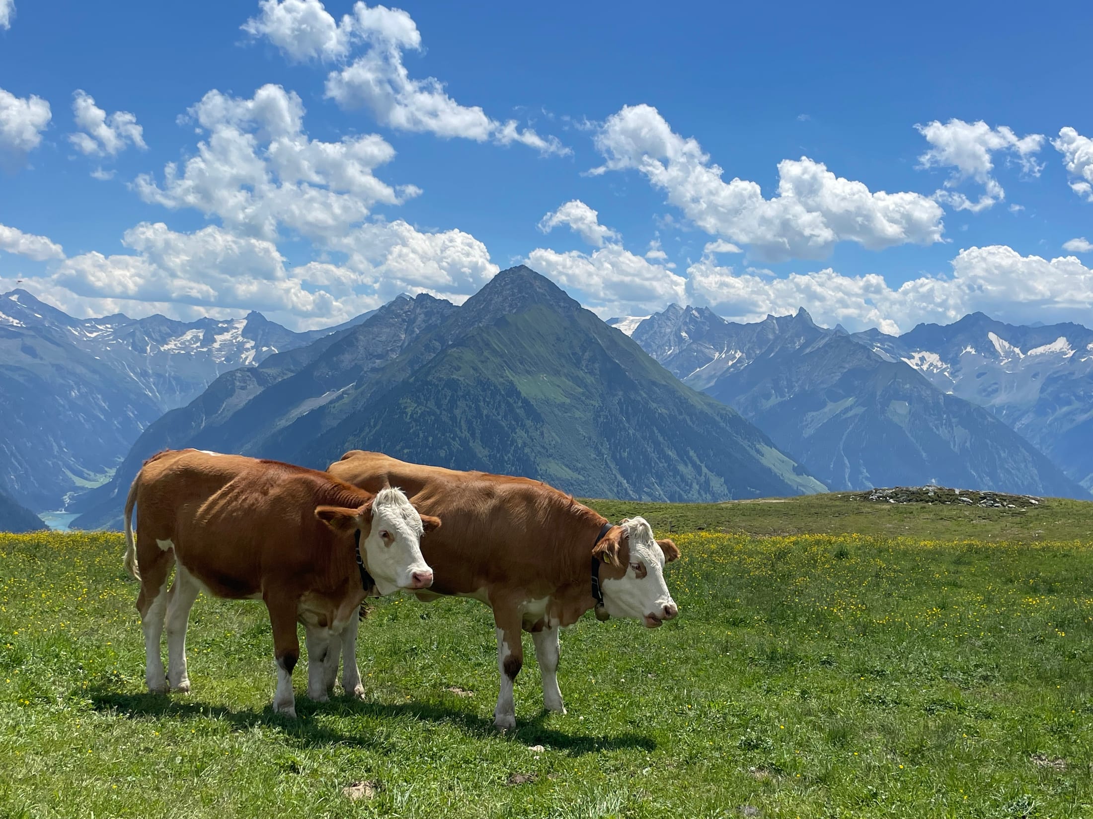 Wandern im Zillertal