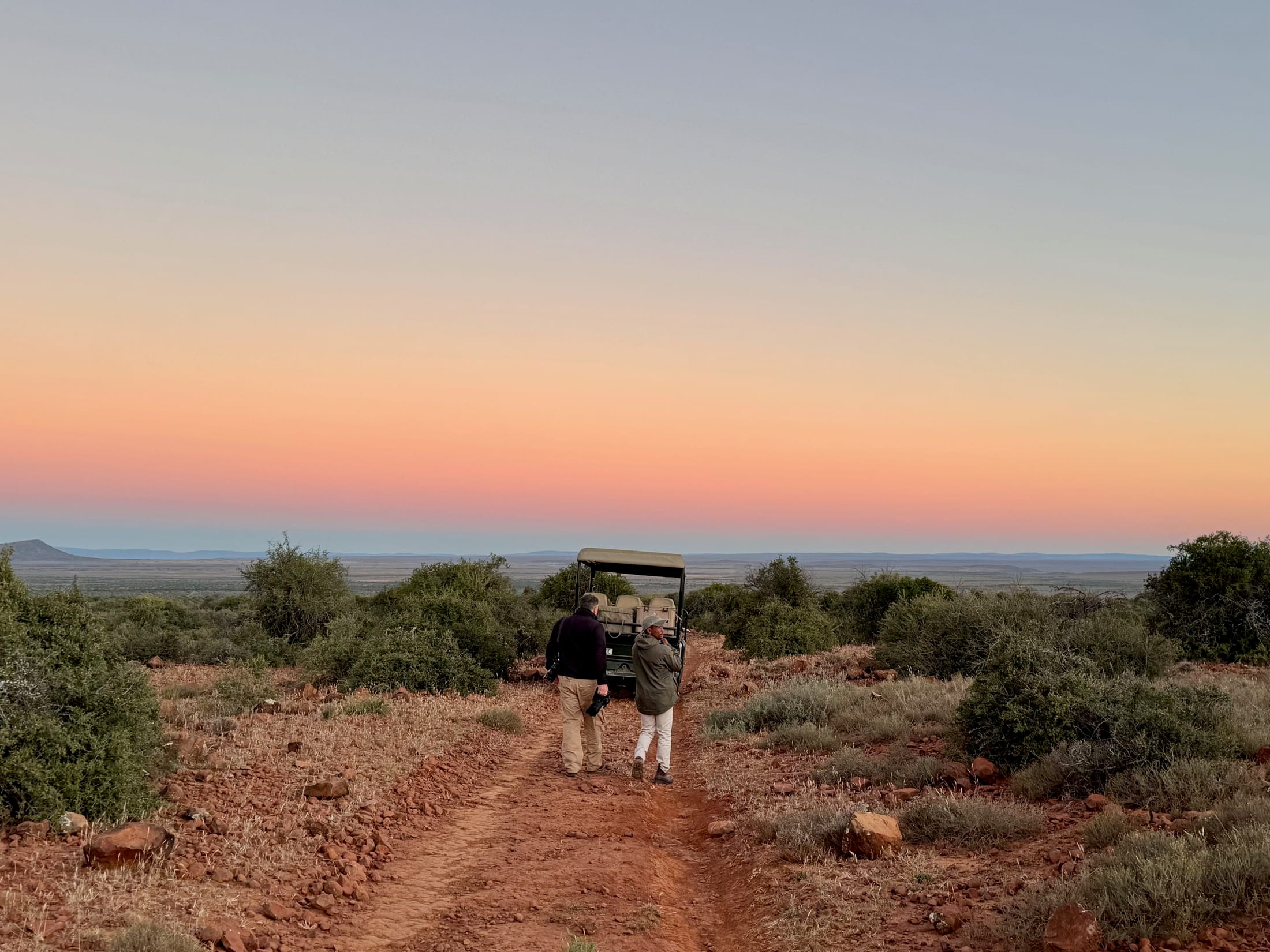 Die weite Halbwüste der Great Karoo – fast so gross wie Deutschland und die Schweiz zusammen – erwacht im