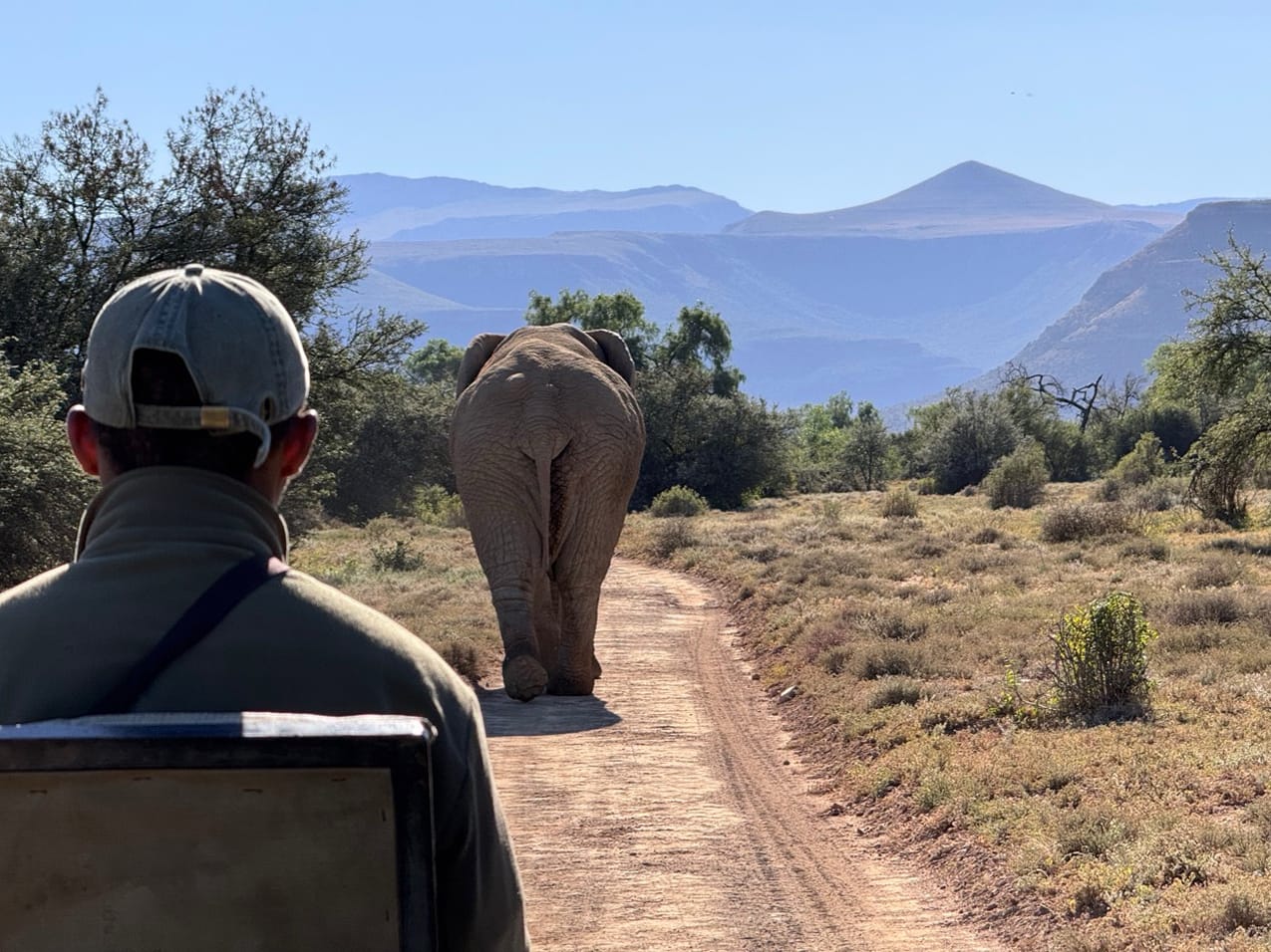 Die Samara Karoo ist unser Safari-Geheimtipp – echte Wildnis, engagierter Naturschutz und ein Lodge-Erlebnis,