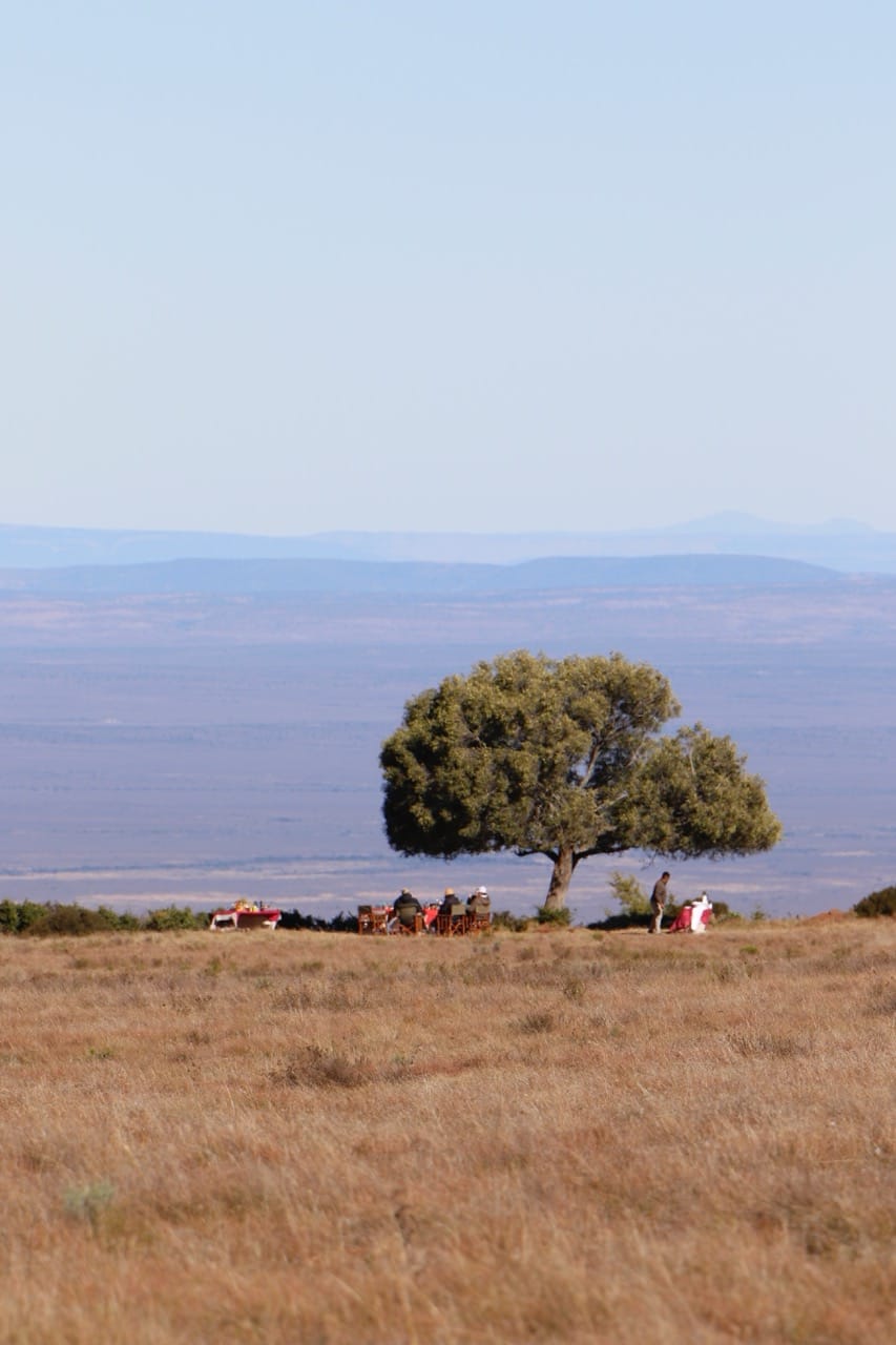📍 Samara Karoo Reserve, Great Karoo, Graaff-Reinet