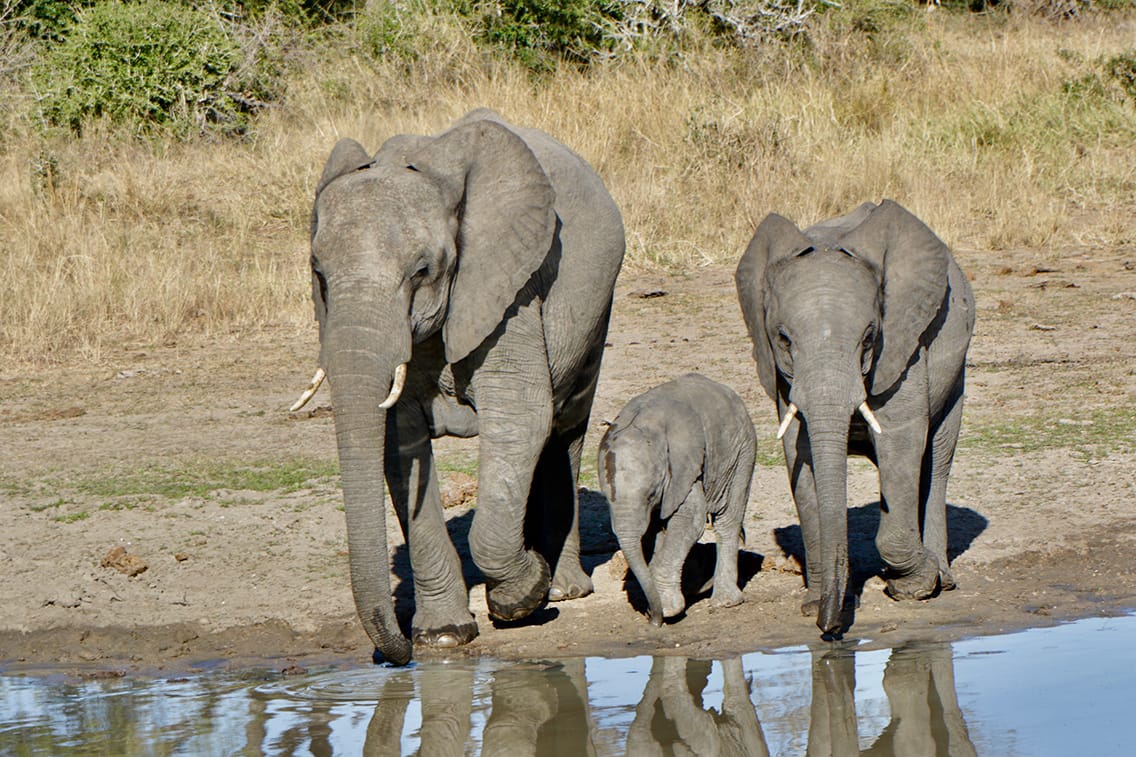 Big Five-Momente