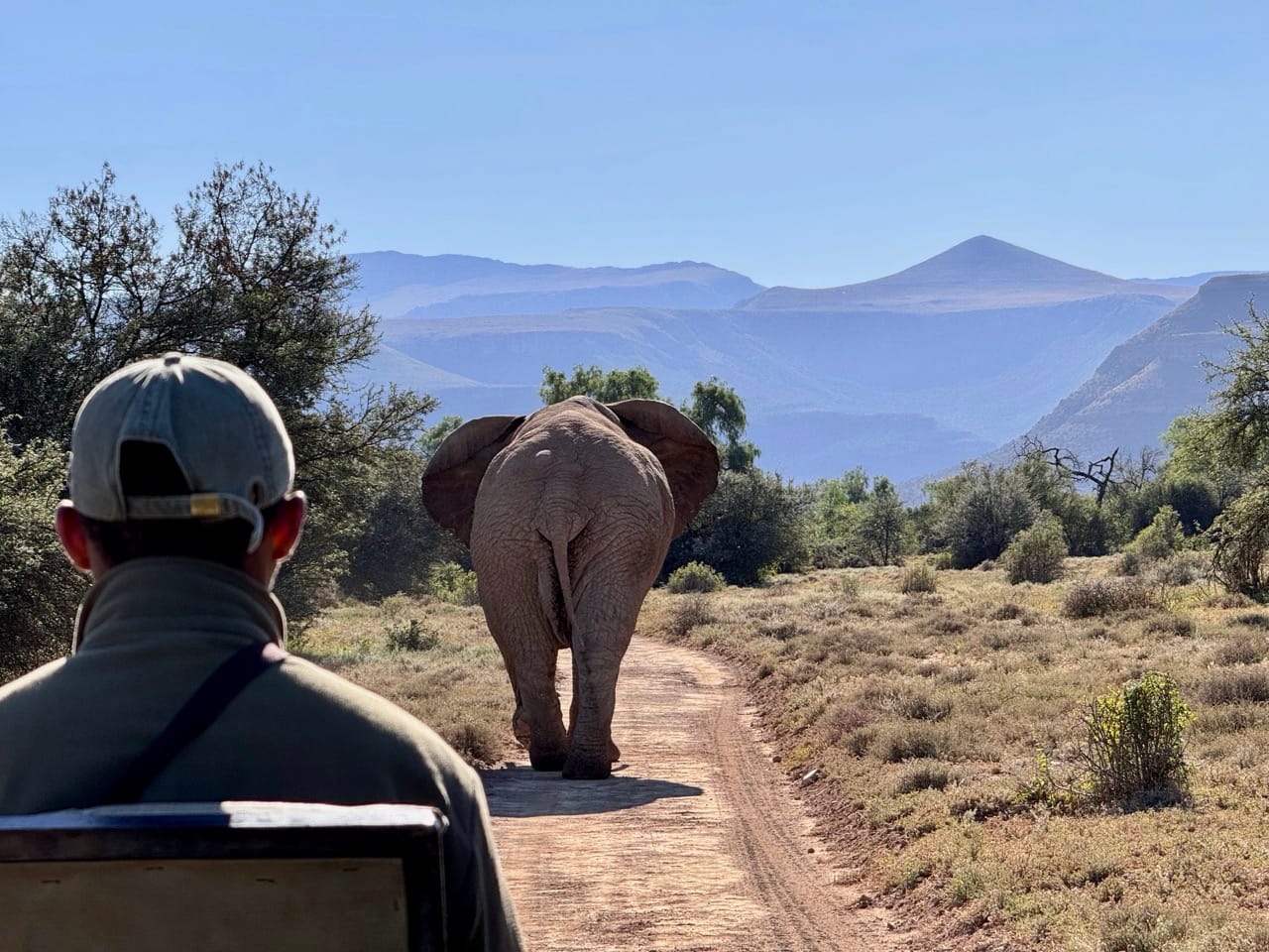 📍 Samara Karoo Reserve, Great Karoo, Graaff-Reinet