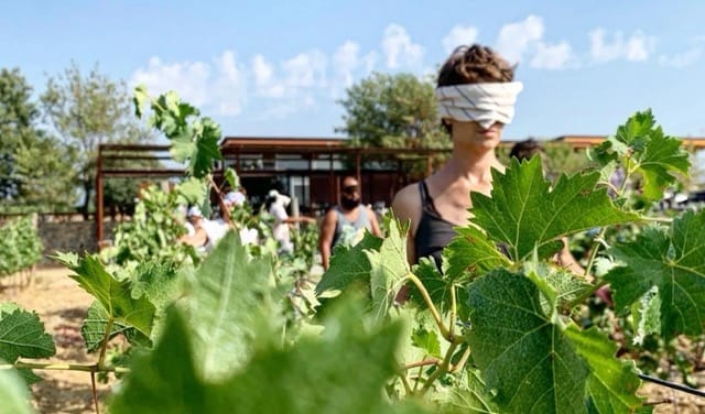 Wo 20 Michelin-Sterne in 15 verschiedenen Restaurants funkeln